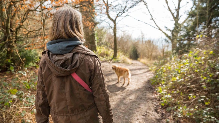 Woman walking her dog on a wooded path at Box Hill, Surrey